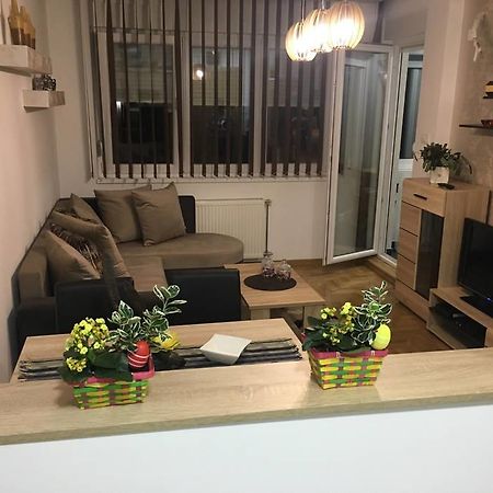 Apartment Sinisa With Garage Novi Sad Bagian luar foto